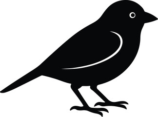Silhouette sparrow passerine bird standing profile vector illustrator
