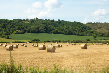 Obraz premium Rural Landscape with Hay Bales and Green Hills