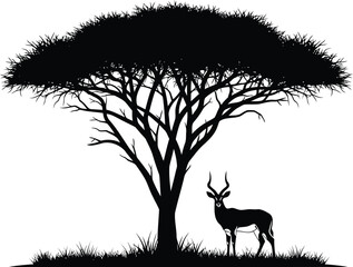 Silhouette of a Kudu Antelope and Acacia Tree in African Savanna