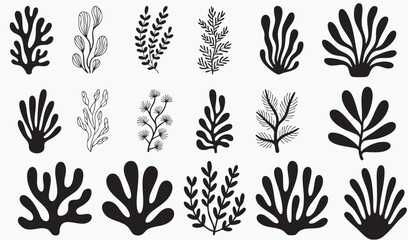Coral reef or seaweeds vector underwater plant icons. Naive style leaves, algae or fronds. Hand drawn vector ink illustration. Modern style organic corals, aesthetic underwater plants and branches