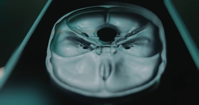 Cranial base of human skull view