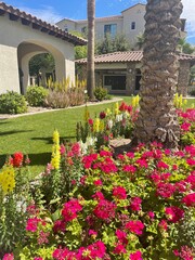 Obraz premium garden with flowers