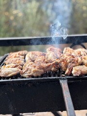 Grilled Chicken Wings on Barbecue Grill