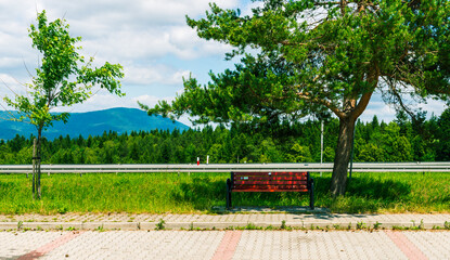 A solitary bench under a tree on a roadside platform overlooks a forest and distant blue hills, offering a perfect spot for rest and reflection.

