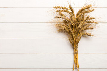 Sheaf of wheat ears close up and seeds on colored background. Natural cereal plant, harvest time...