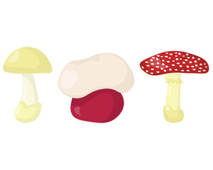 Set of inedible mushrooms, dangerous natural objects in natural color
