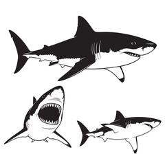 Set of 3 Great White Shark Silhouettes as Marine Predator Icons