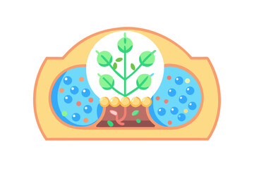 Illustration of a plant growing from a seed with roots in soil and water droplets