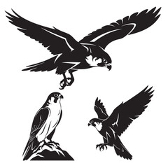 Set of 3 Peregrine Falcon Silhouettes as Bird of Prey Icons