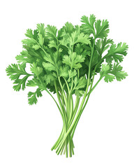 Isolated transparent Fresh bunch of cilantro leaves, perfect for garnishing and adding flavor to dishes. PNG die-cut element for advertising