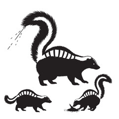 Set of 3 Skunk Silhouettes as a Striped Wildlife Vector Set