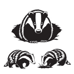 Set of 3 European Badger Silhouettes as a Woodland Animal Icon Set