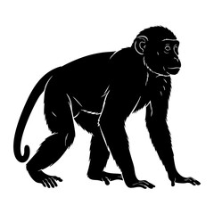 Obraz premium Black Realistic Monkey Silhouette Vector Anatomical - Scientific Primate Animal Icon