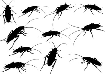 A collection of cockroach silhouettes in various poses against a white background showing infestation