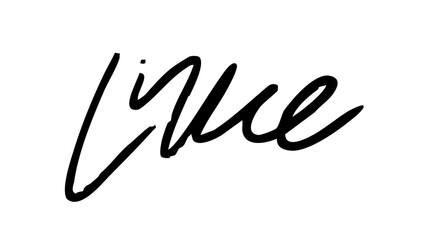 Brush hand drawn elements , flat Modern design isolated on white background ,Vector illustration EPS 10