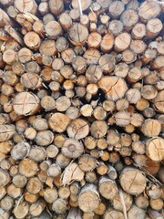 Stacked wooden logs
