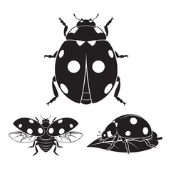 Set of 3 Ladybug Silhouettes as a Lucky Ladybird Insect Set