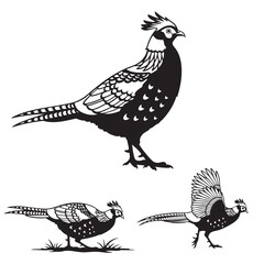 Set of 3 Himalayan Monal Silhouettes as a Pheasant Icon Set