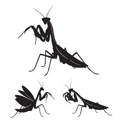Set of 3 Praying Mantis Silhouettes as a Predatory Insect Set