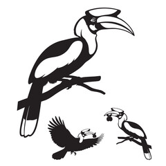 Set of 3 Hornbill Silhouettes as a Tropical Bird and Casque Set