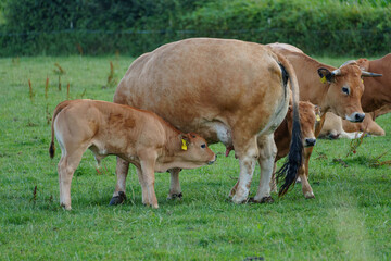 sp&auml;tsommer im M&uuml;nsterland