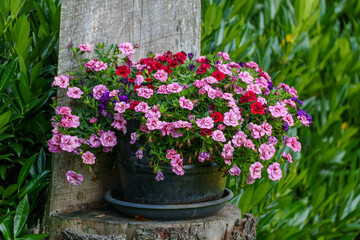 spätsommer im Münsterland