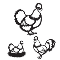 Set of 3 Silkie Chicken Silhouettes as a Fluffy Fowl Icon Set