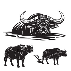 Set of 3 Water Buffalo Silhouettes as a Bovine Vector Icon Set
