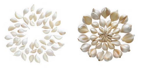 Two circular arrangements of garlic cloves on a transparent background