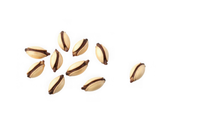 A group of delicious chocolatefilled cookies isolated on a transparent background