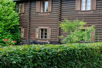 Sommerabend in  Potsdam