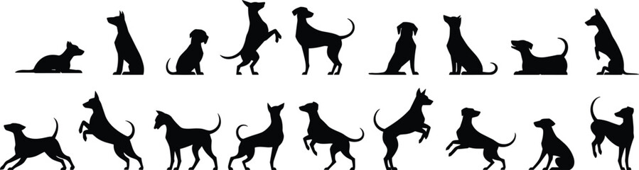 Silhouette collection of various dog poses, pet animal vector illustration, dog body language, black dog shapes, isolated background