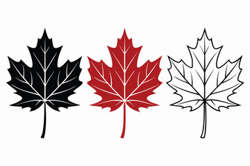 Three maple leaves in black red and outline design isolated on a white background for graphic resources and designs