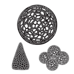Set of 3 Radiolarian Silhouettes as a Microscopic Protozoa Set