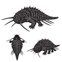 Set of 3 Wiwaxia Silhouettes as an Armored Cambrian Animal Set