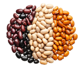 Photo of a vibrant arrangement of assorted dried beans, including black, white, and kidney varieties, is artfully displayed on a clean white surface isolated on transparent background
