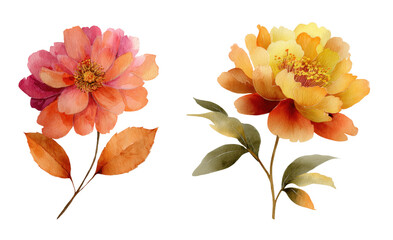 Set of watercolor flowers clipart