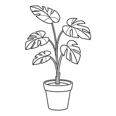 Monstera deliciosa plant in a pot line art drawing