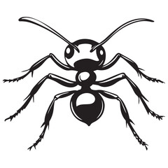 Obraz premium ant line art silhouette vector illustration