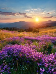 Fototapeta premium Captivating panoramic sunset over a field of purple wildflowers and grass, with the golden sun casting a vibrant glow on the picturesque landscape