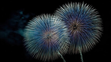 Fototapeta premium Fireworks from Ohito, Izunokuni-shi, Shizuoka (fireworks material), no logos, no brands