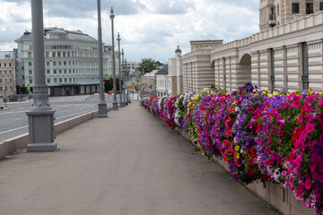 Colorful flower-lined street enhances summer cityscape with vibrant decorations