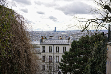 View of Paris rooftops with the Eiffel Tower visible in the background on a cloudy winter day. Captured from Montmartre
