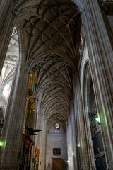 Fototapeta premium Stunning Interior Architecture of Segovia Cathedral, Spain