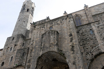 Barcelona Cathedral Architecture from Below