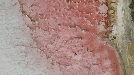 Aerial drone view of Hutt Lagoon Pink Lake in Western Australia
