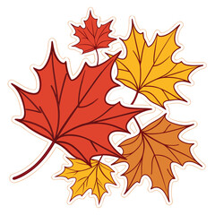 Obraz premium Orange and red maple leaves are clustered together with a brown outline, transparent background