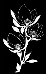 Simple white graphic drawing of magnoli flower against black background, logo