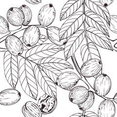 Seamless vector pattern of green walnut on branch, walnut leaves, ripe walnut in shell. For printing on kitchen towels, cookware, food packaging and cosmetics. Vector illustration