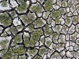dry cracked ground, Cracks and fissures in the ground caused by drought. Lake Cuga. Uri, Sassari, Sardinia.